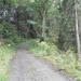 SAM_1295