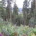 SAM_1296