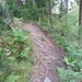 SAM_1297
