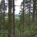 SAM_1299