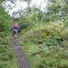 SAM_1300