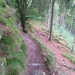 SAM_1303
