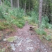 SAM_1306