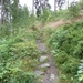 SAM_1307