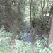 SAM_1311