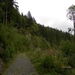 SAM_1312