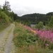 SAM_1317
