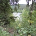 SAM_1321