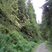 SAM_1322