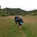 SAM_1335