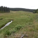 SAM_1337