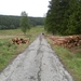 SAM_1341
