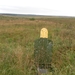 SAM_1348