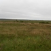 SAM_1349