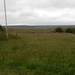 SAM_1353