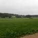 SAM_1355