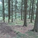 SAM_1359