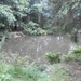 SAM_1363