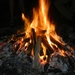 DSCN9737