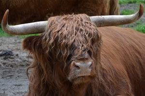 Wildpark Hanstedt-Nindorf