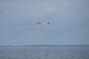 Ystad strand