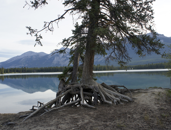 Lake Edith