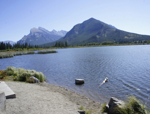 Banff