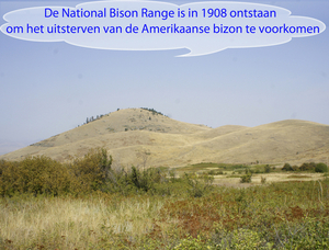 Bison Range