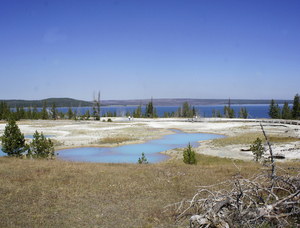 Yellowstone