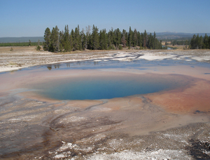 Yellowstone