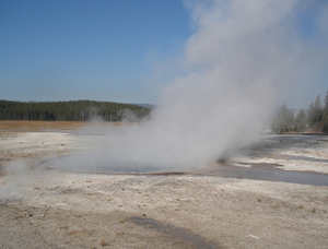 Yellowstone