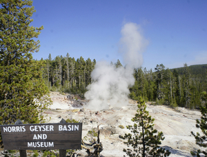 Norris Geyser Basin