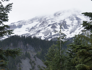 Mount Rainier