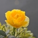 030