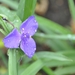 039