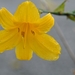 044