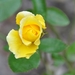 043