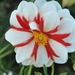 069