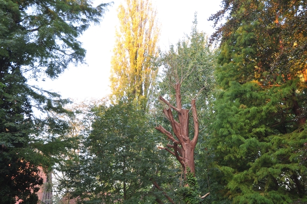 001 BRUGGE, AROUND THE CLOCK !