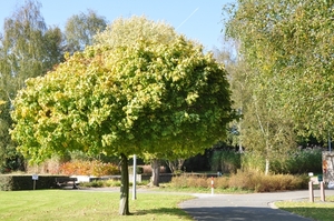043