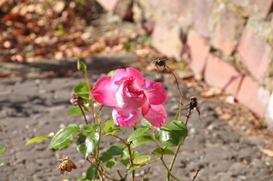 046