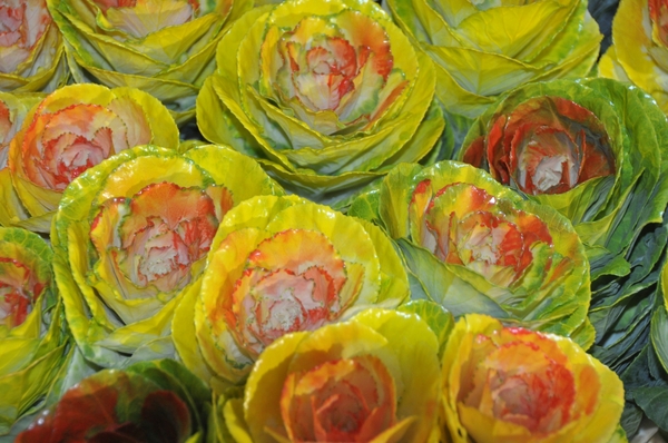 001 HERFST SYMPHONIE...