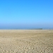 Westerschelde