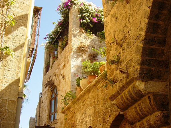 middelandse zee 092011 Jaffa