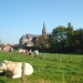 DSC03820