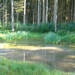 DSC03839