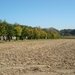 DSC03845