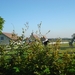 DSC03851