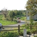 DSC03871
