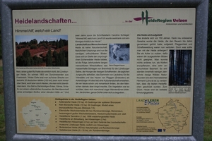 Kopie van lunerburgerheide 029